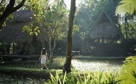 Sapulidi Cafe, Gallery & Resort